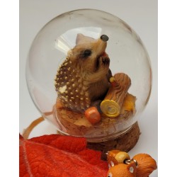 Bulle Hérisson des Bois