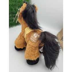 Poneys